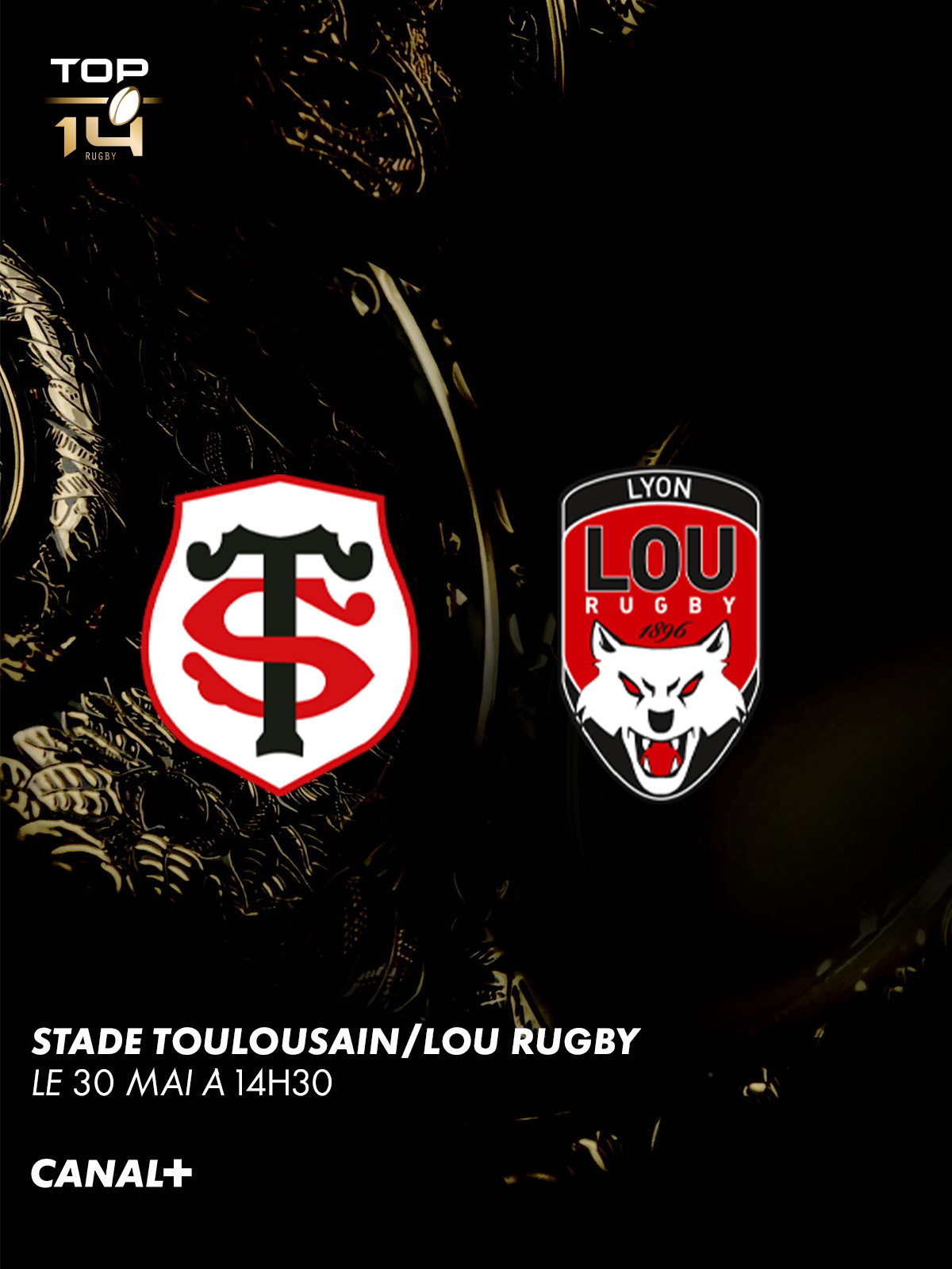 Stade Toulousain vs Lou Rugby - 30 mai